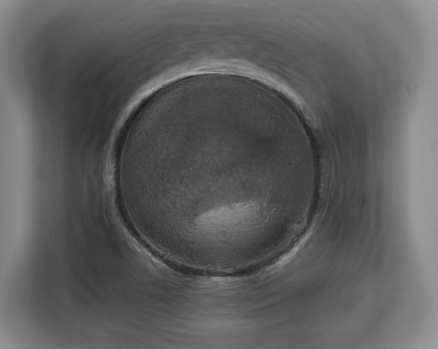 X0000112831506200908281521