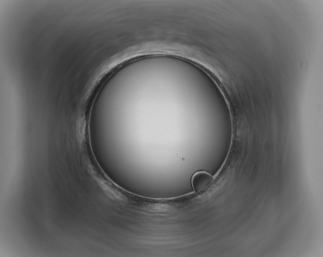 X0000112831507200908281521