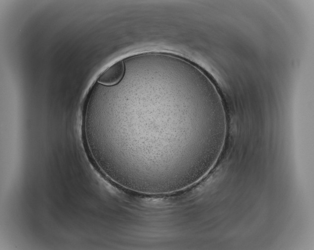 X0000112831508200908281521