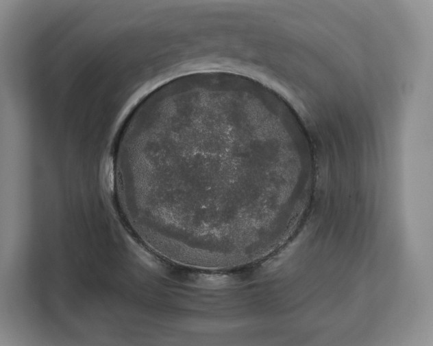 X0000112831509200908281521