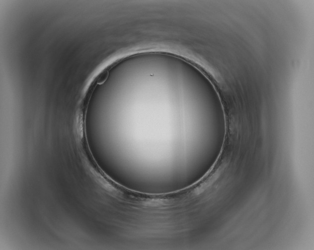 X0000112831510200908281521