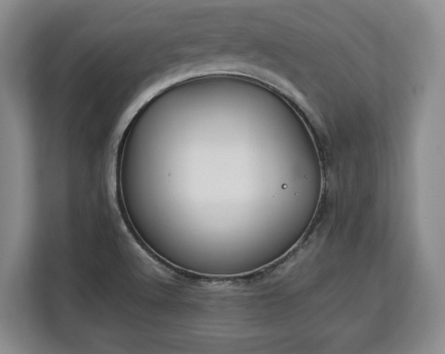 X0000112831512200908281521