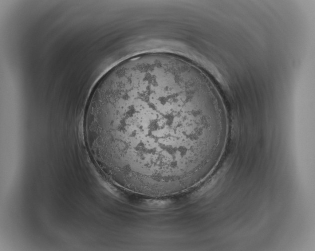 X0000112831513200908281521