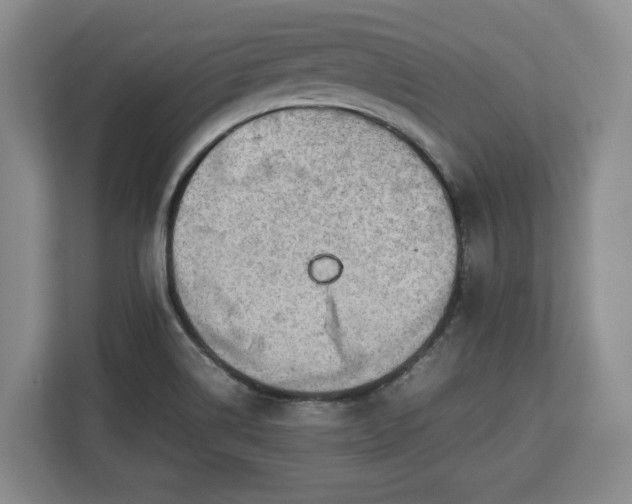 X0000112831514200908281521