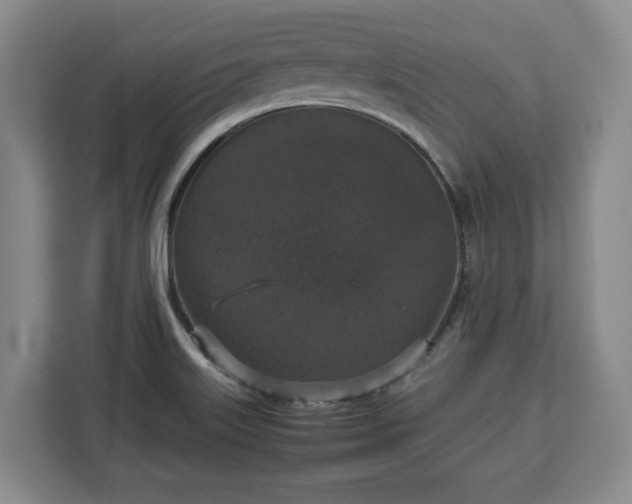 X0000112831515200908281521