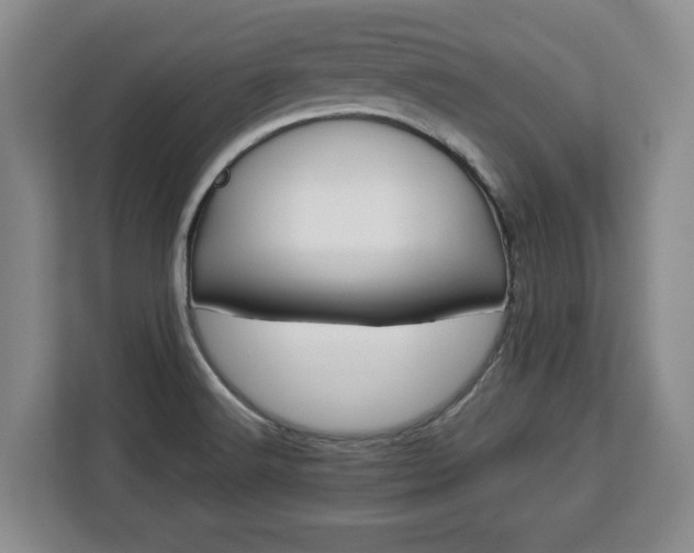 X0000112831516200908281521