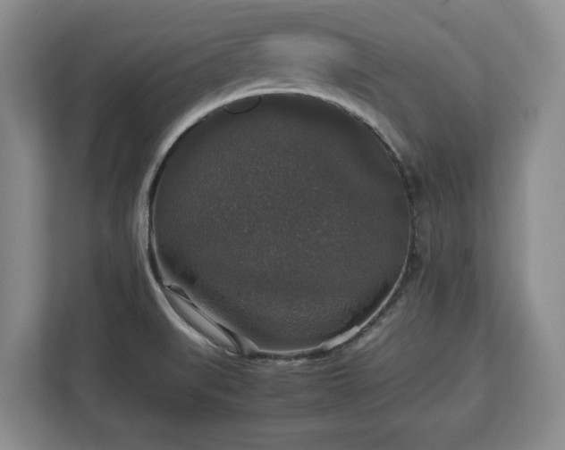 X0000112831519200908281521