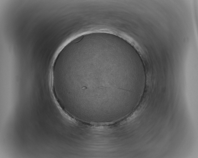 X0000112831520200908281521