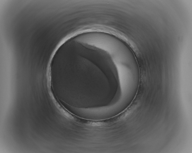 X0000112831522200908281521