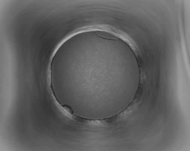 X0000112831524200908281521