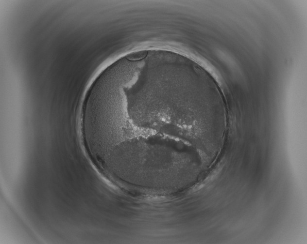 X0000112831525200908281521