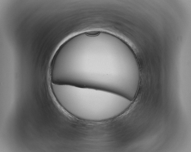 X0000112831526200908281521