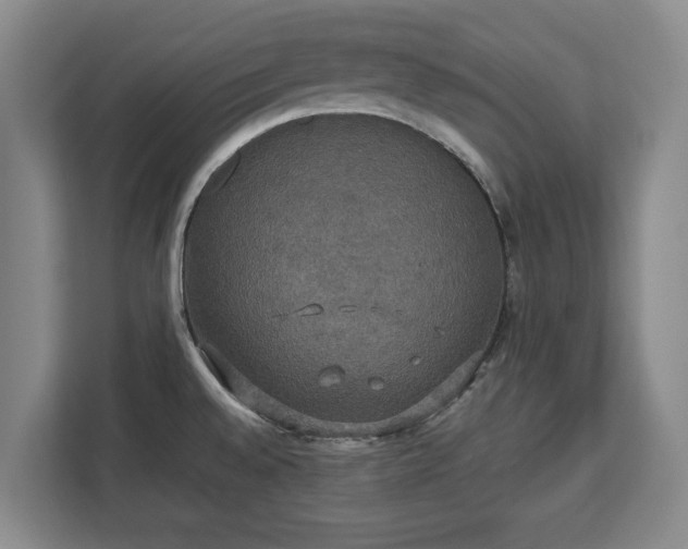 X0000112831528200908281521