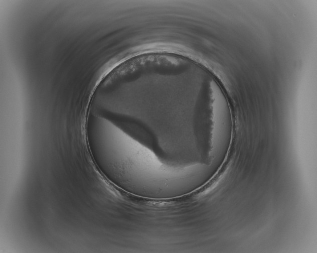 X0000112831529200908281521