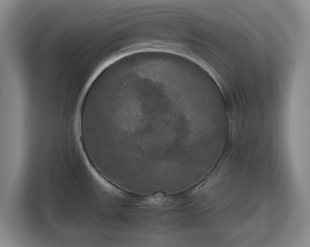 X0000112831531200908281521