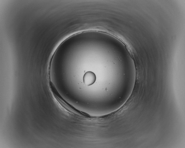 X0000112831532200908281521