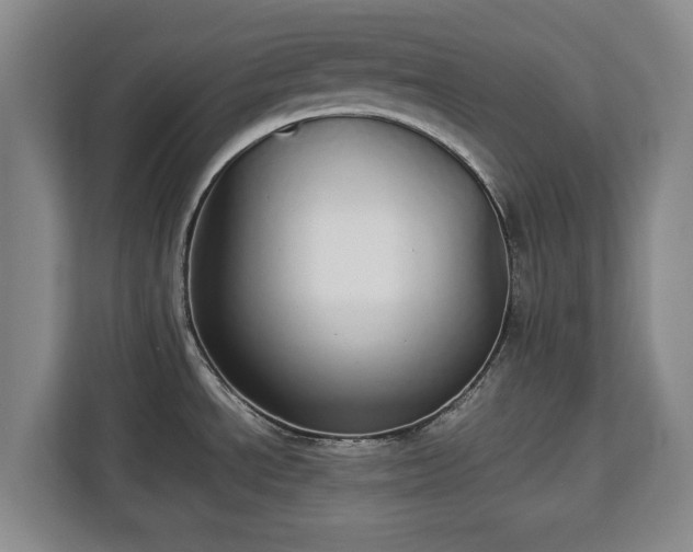 X0000112831534200908281521