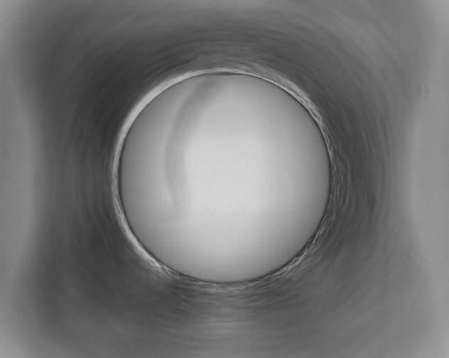 X0000112831536200908281521