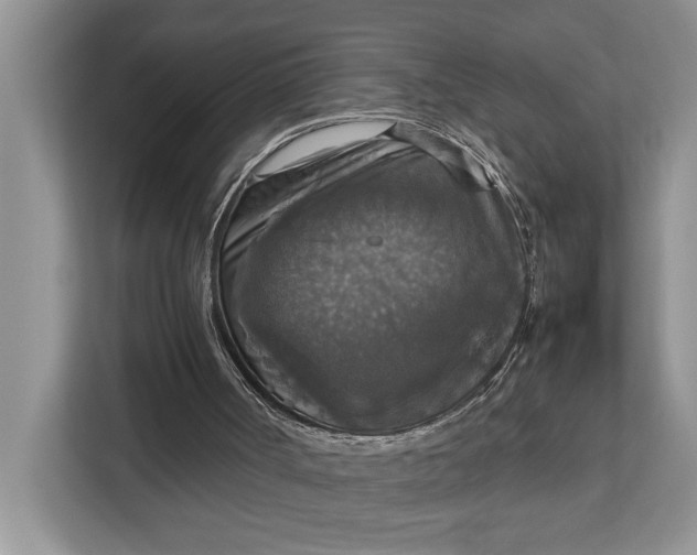 X0000112830002200909041512