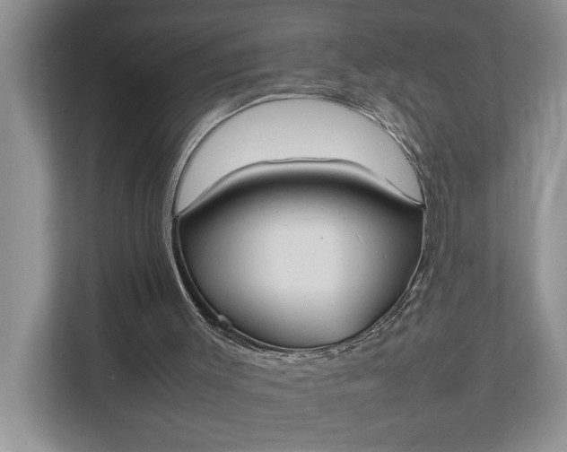 X0000112830003200909041512