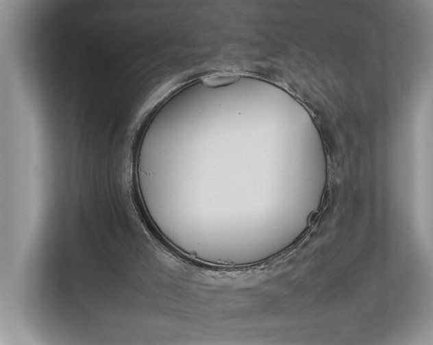 X0000112830005200909041512