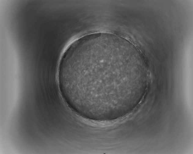 X0000112830006200909041512