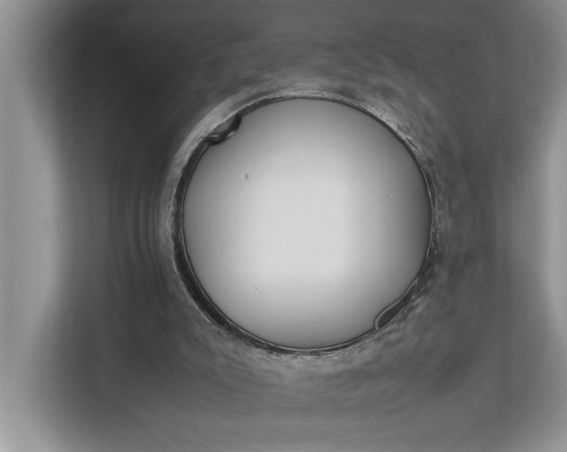 X0000112830007200909041512