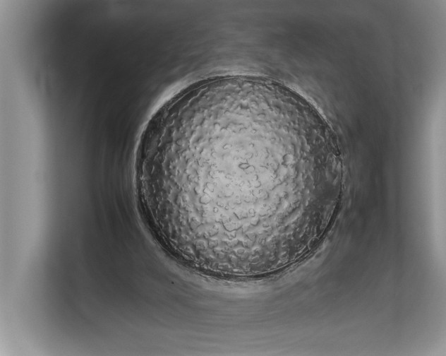 X0000112830008200909041512