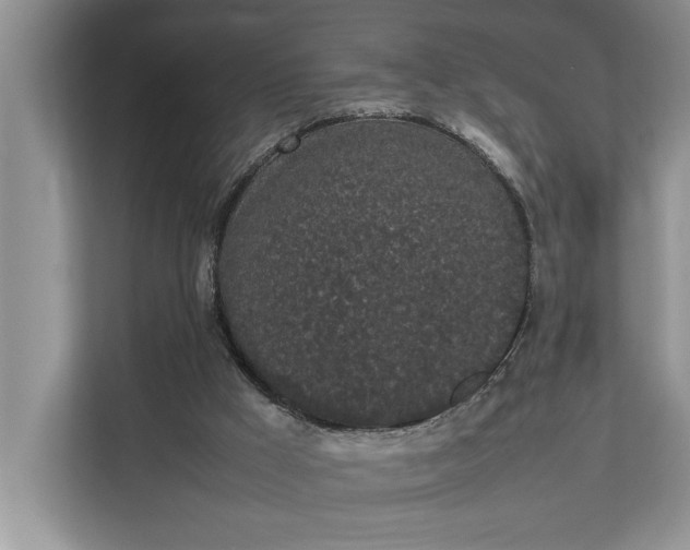 X0000112830009200909041512