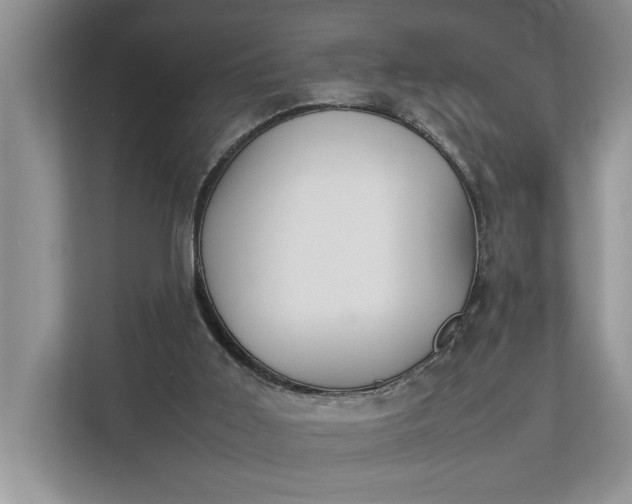 X0000112830011200909041512