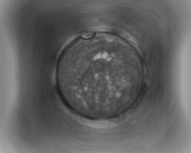 X0000112830012200909041512