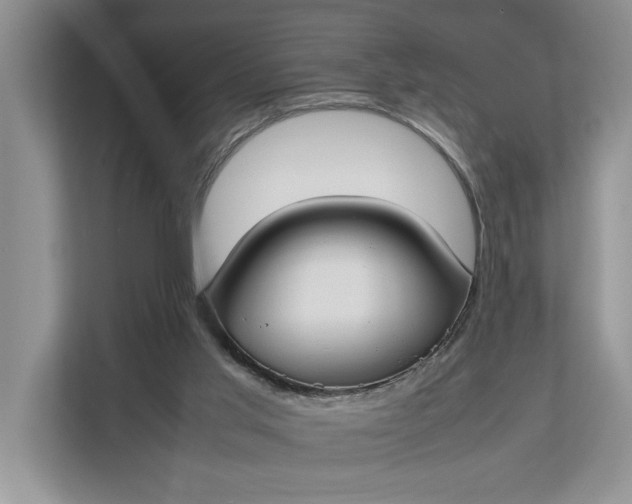 X0000112830013200909041512