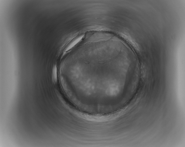 X0000112830014200909041512