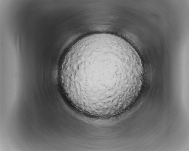 X0000112830016200909041512