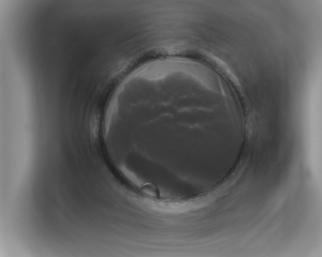 X0000112830018200909041512