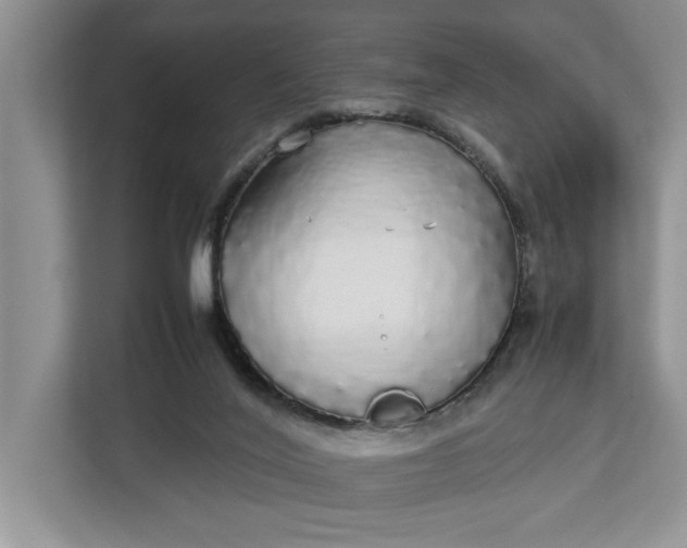 X0000112830020200909041512