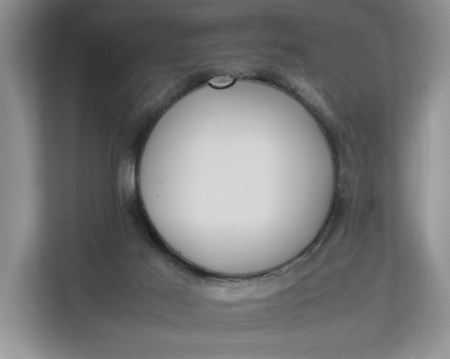 X0000112830021200909041512