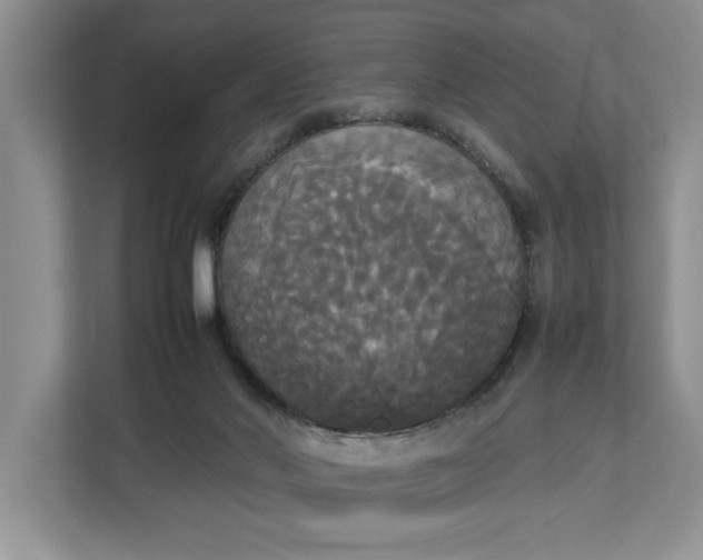 X0000112830022200909041512