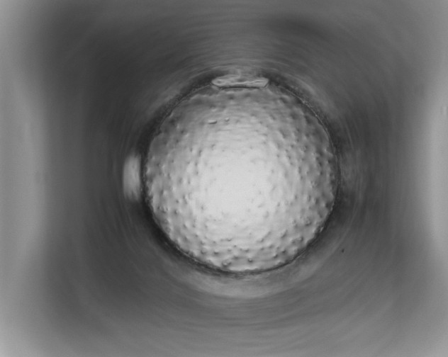 X0000112830028200909041511