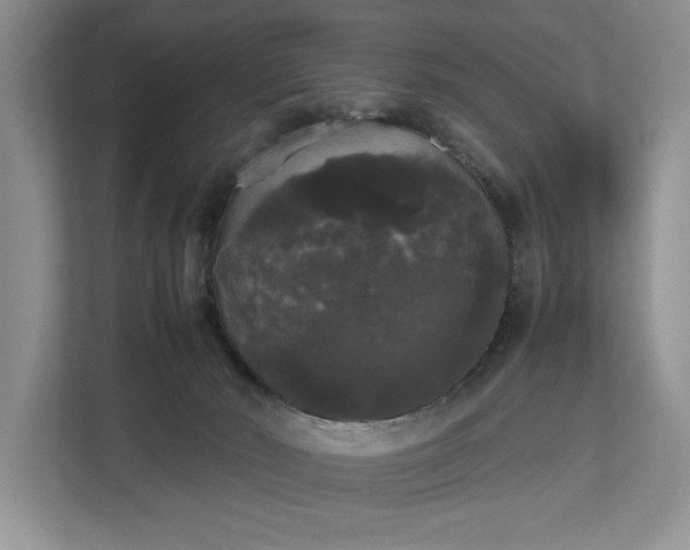 X0000112830030200909041511