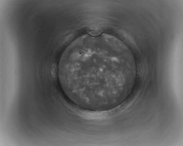 X0000112830036200909041511