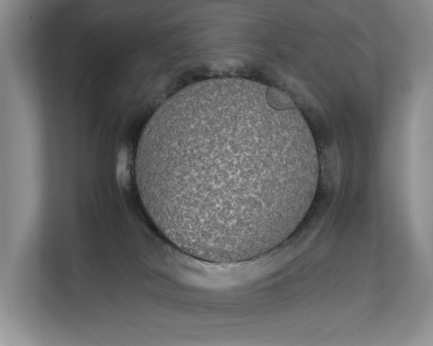 X0000112830038200909041511