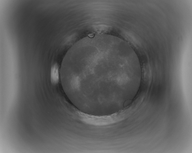 X0000112830042200909041511