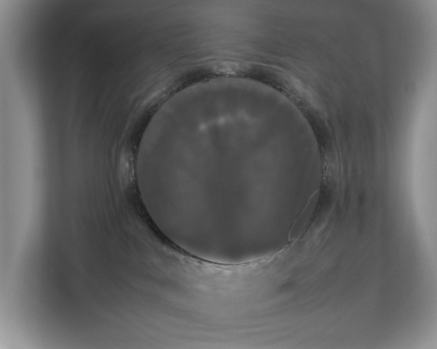 X0000112830043200909041511