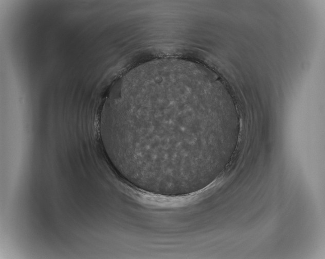 X0000112830048200909041511