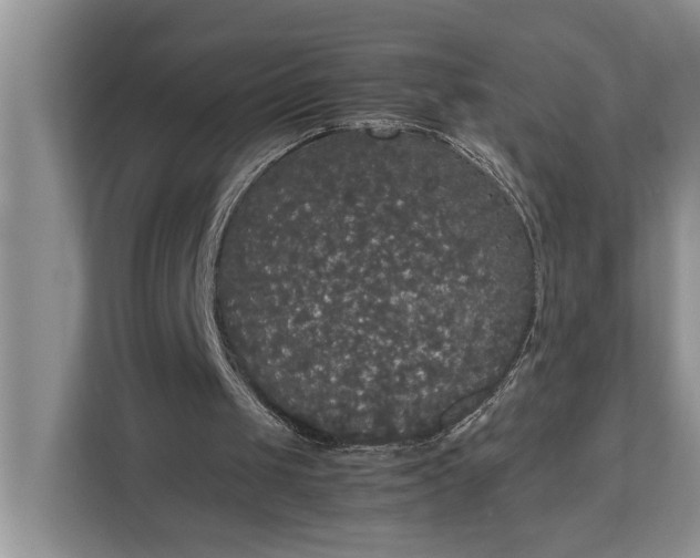 X0000112830049200909041511