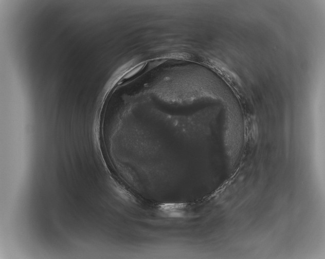 X0000112830051200909041511