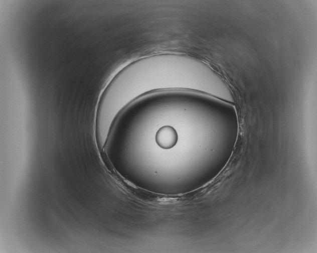 X0000112830052200909041511