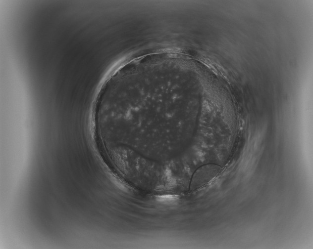 X0000112830053200909041511