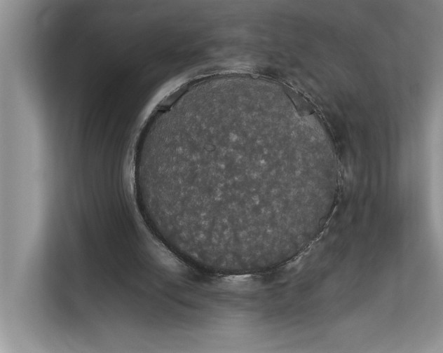 X0000112830054200909041511